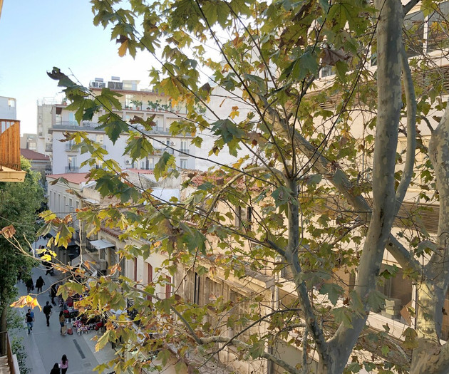 New Luxury Loft, Syntagma Historic Center-ACANTHUS
