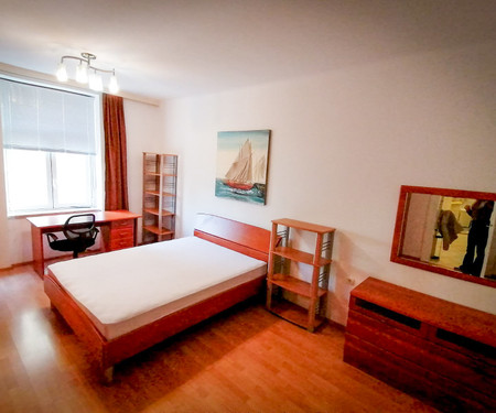 Apartman Laginjina ulica