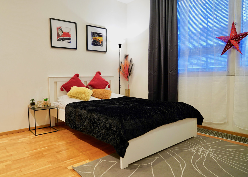 Comfortable one room flat in the city center preview