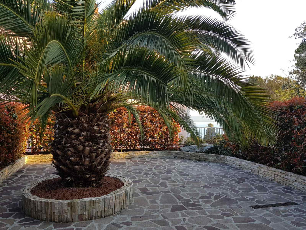 Palm Apartment Portorose