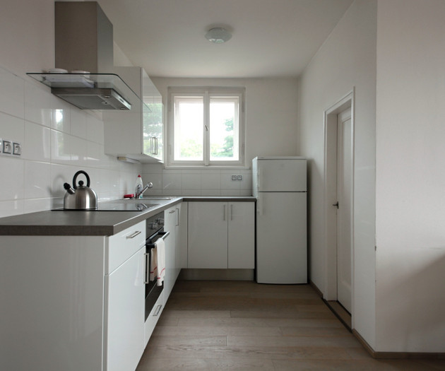 6 -Attic apartment in a villa w. garden, Vinohrady