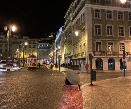 Bairro Alto / Chiado Neighbourhood