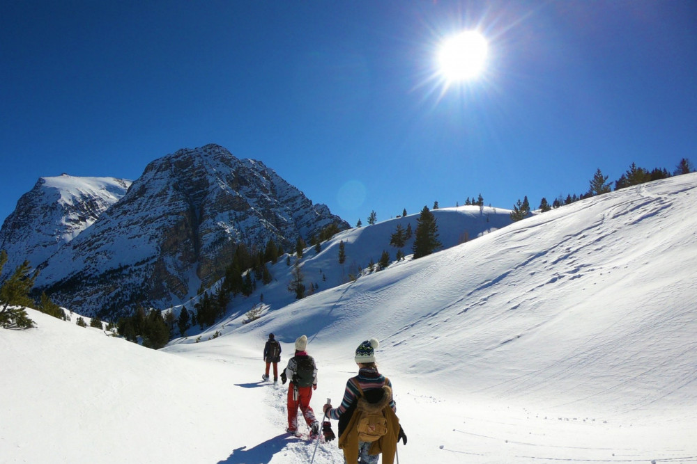 Active coliving in the mountains - Single Room Eris