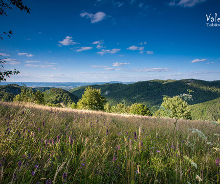 Transylvanian Cottage with Private Swimming Pool