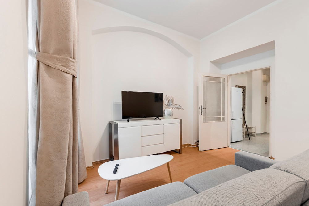 Comfy apartment for 3 people close to Wenceslas sq preview