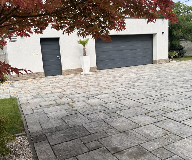 Garage doors with palm plant