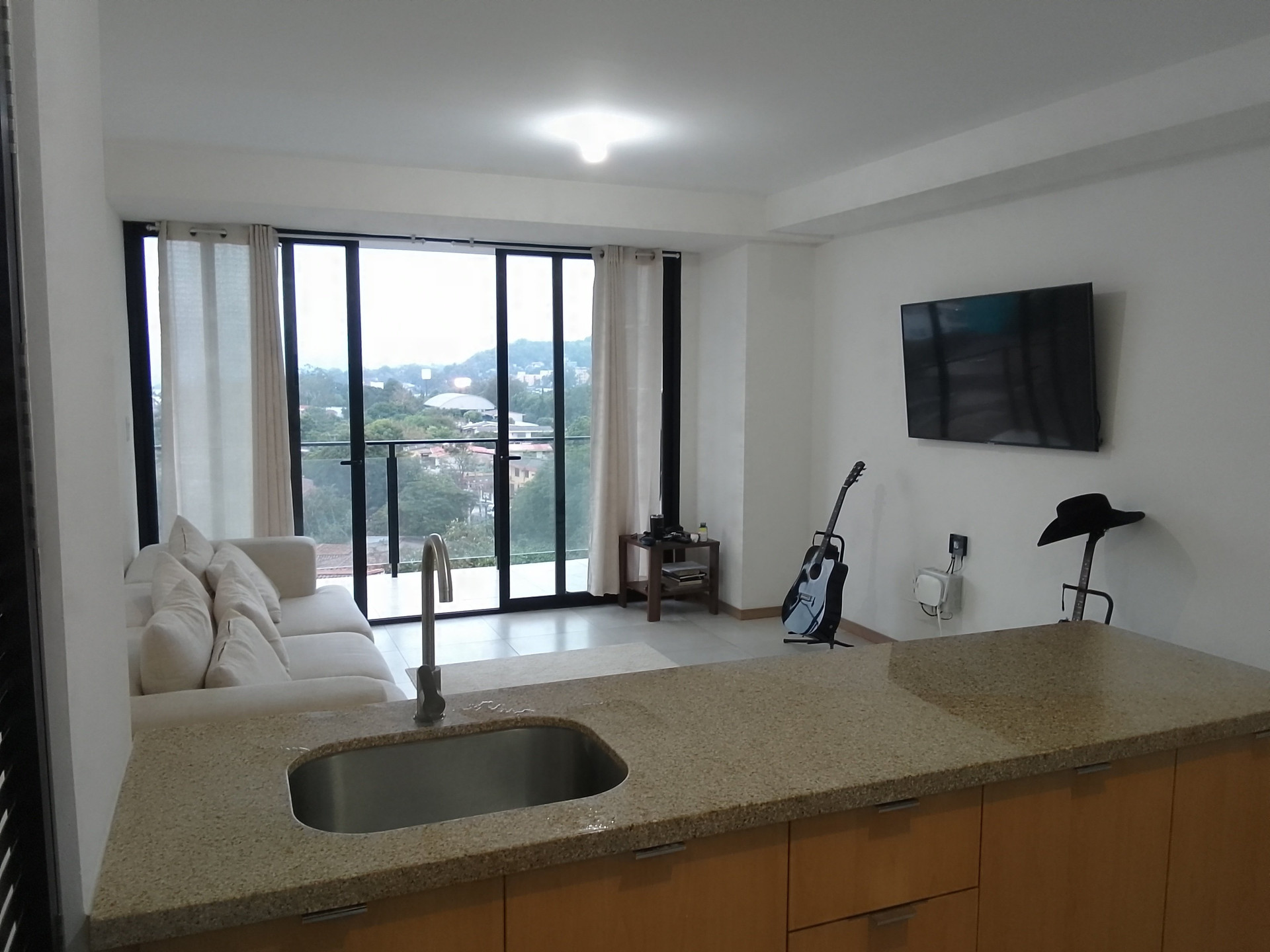 Kitchen counter and living area