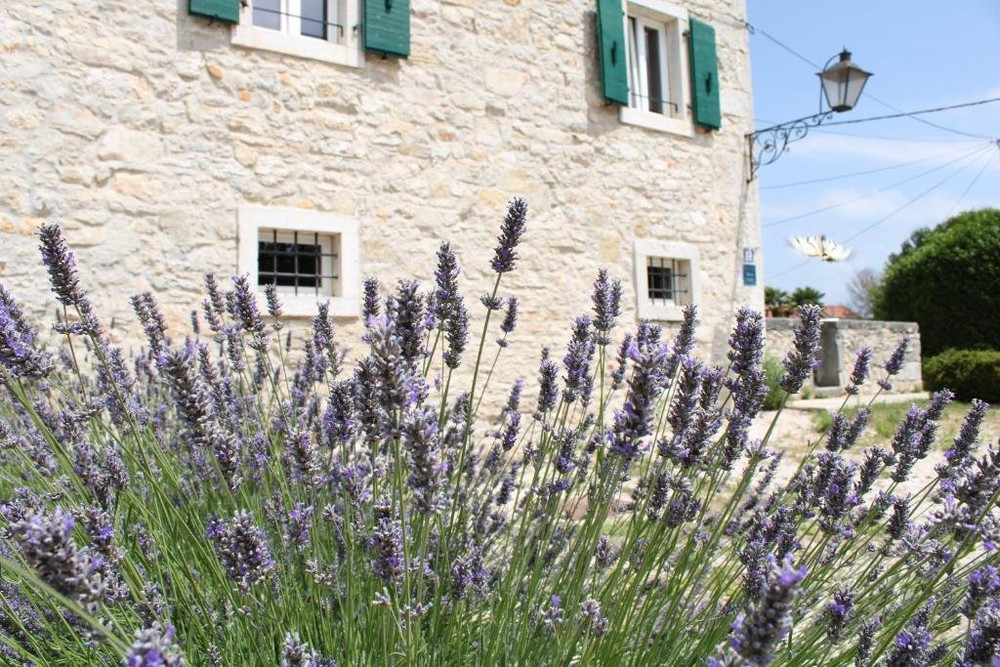 Room in a luxury Castello preview