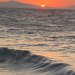 Landlords profile photo