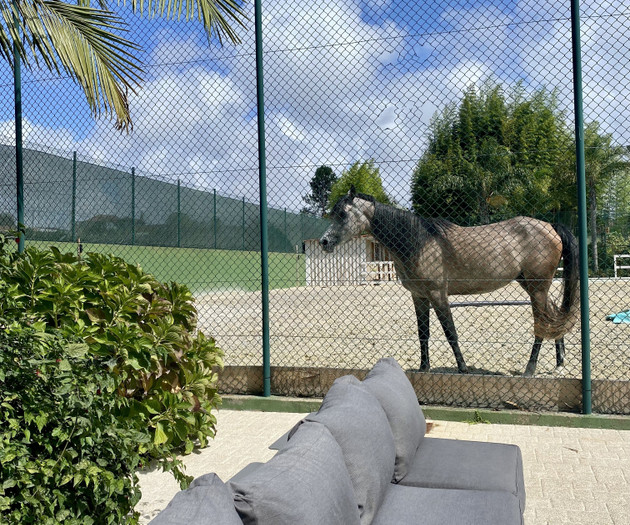 Oasis with pool, horses & fast Wi-Fi