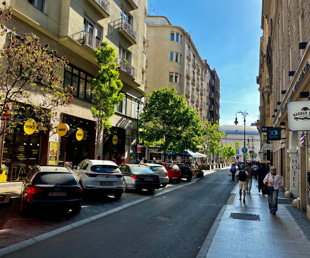 DOWNTOWN ATMOSPHERE FOR STUDY OR WORK FROM HOME