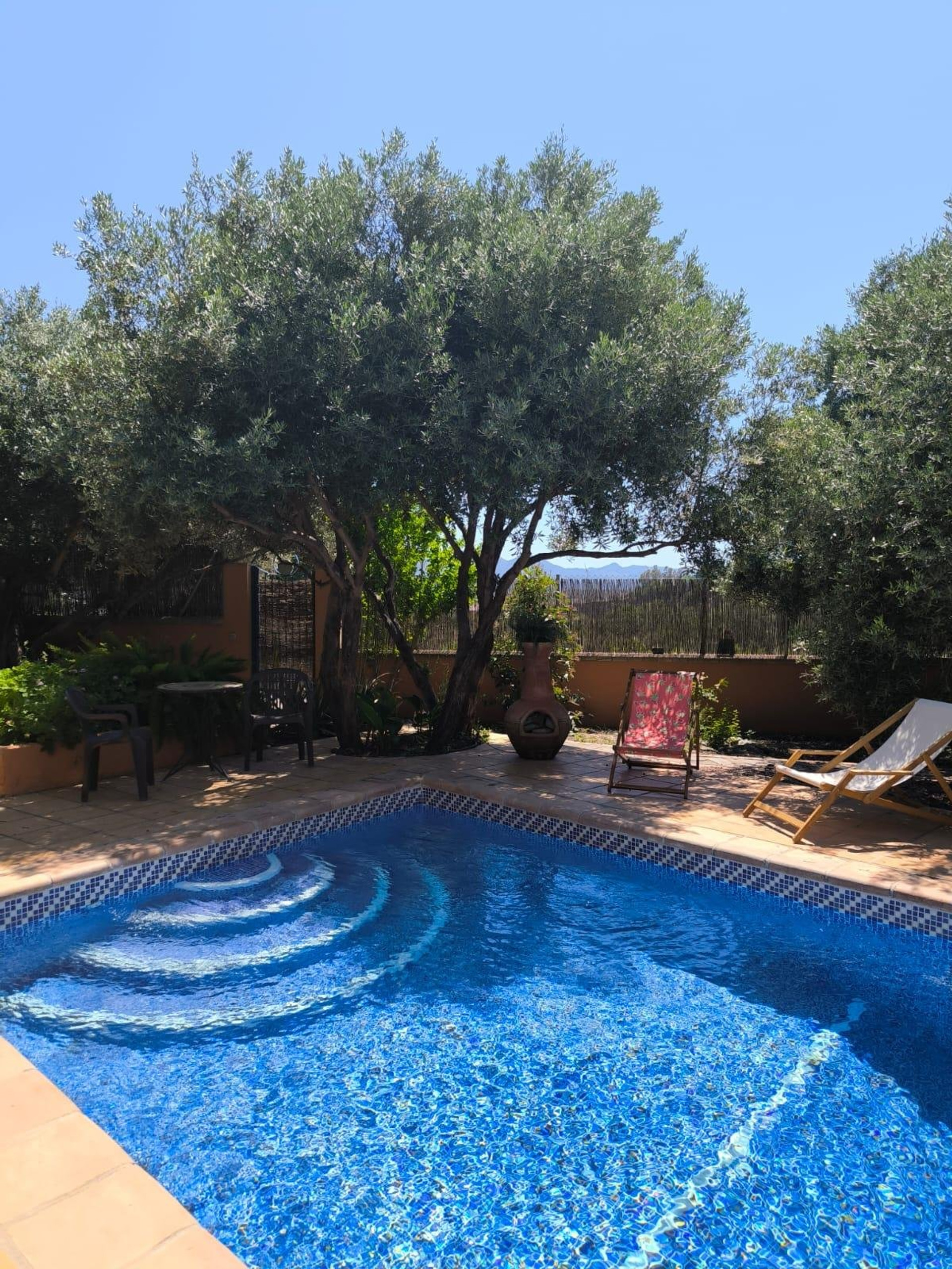 Pool under olive trees