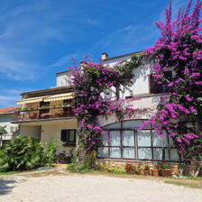 Apartments Maller S.