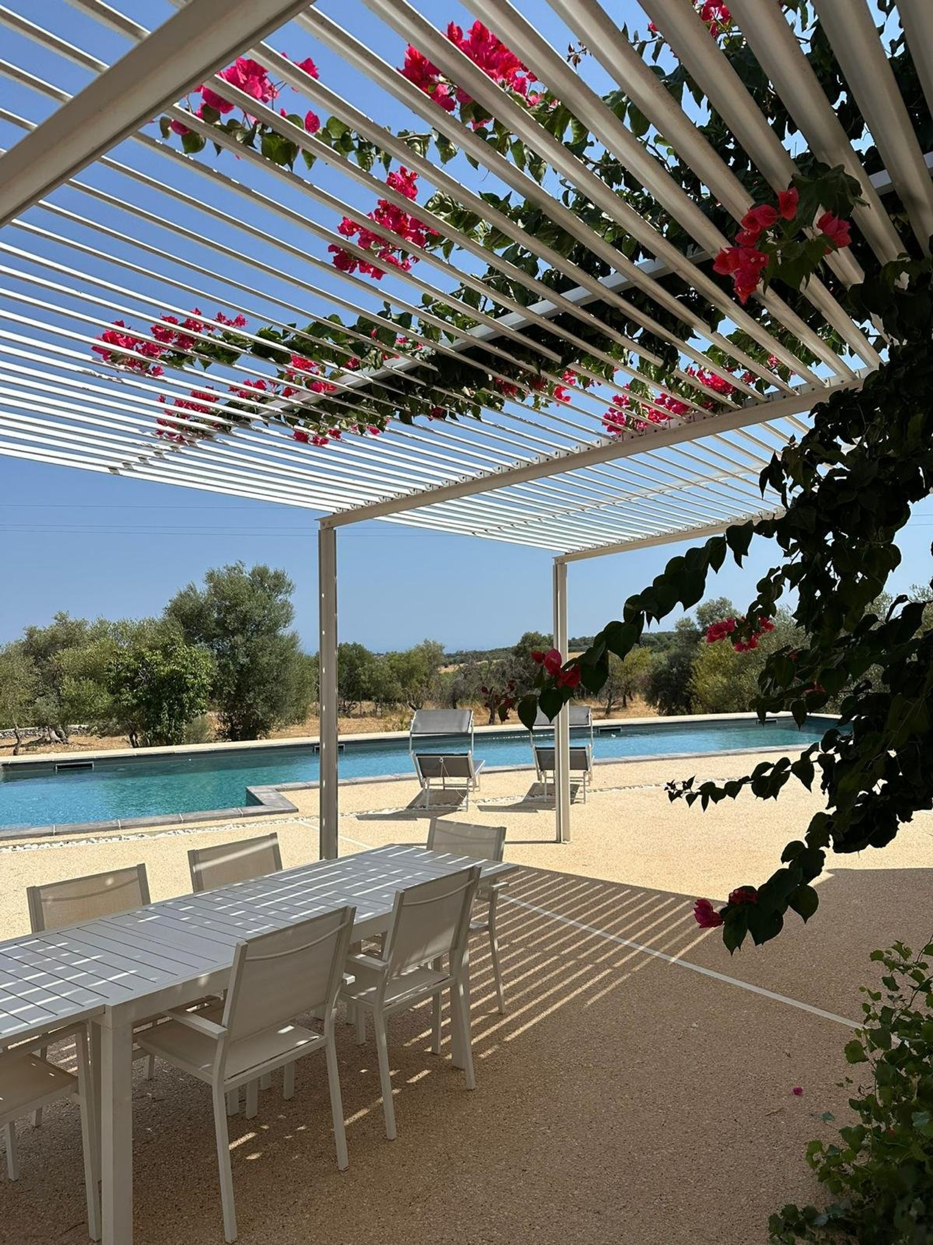 Pergola dining area beside pool
