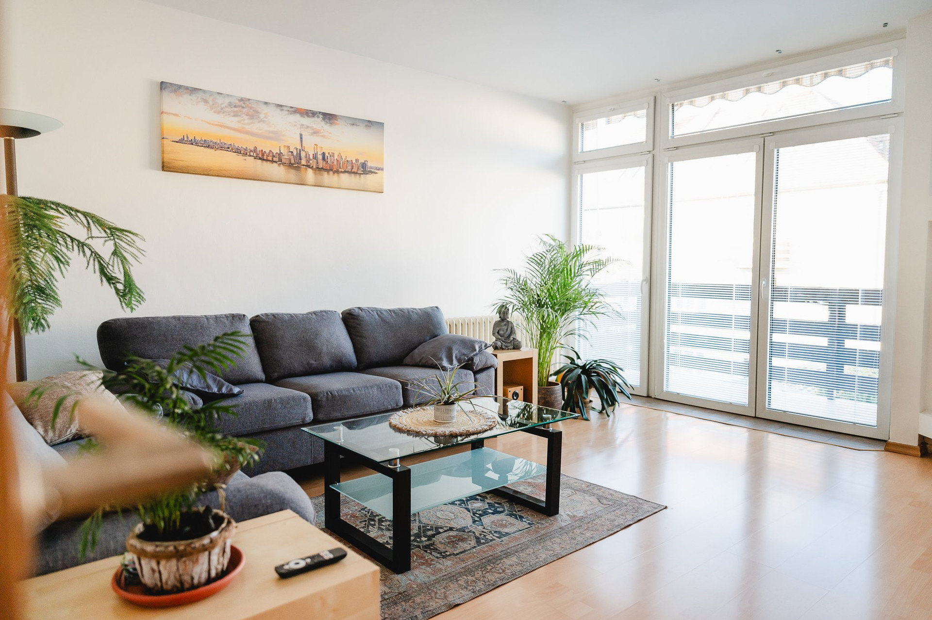 Living room sofa balcony doors