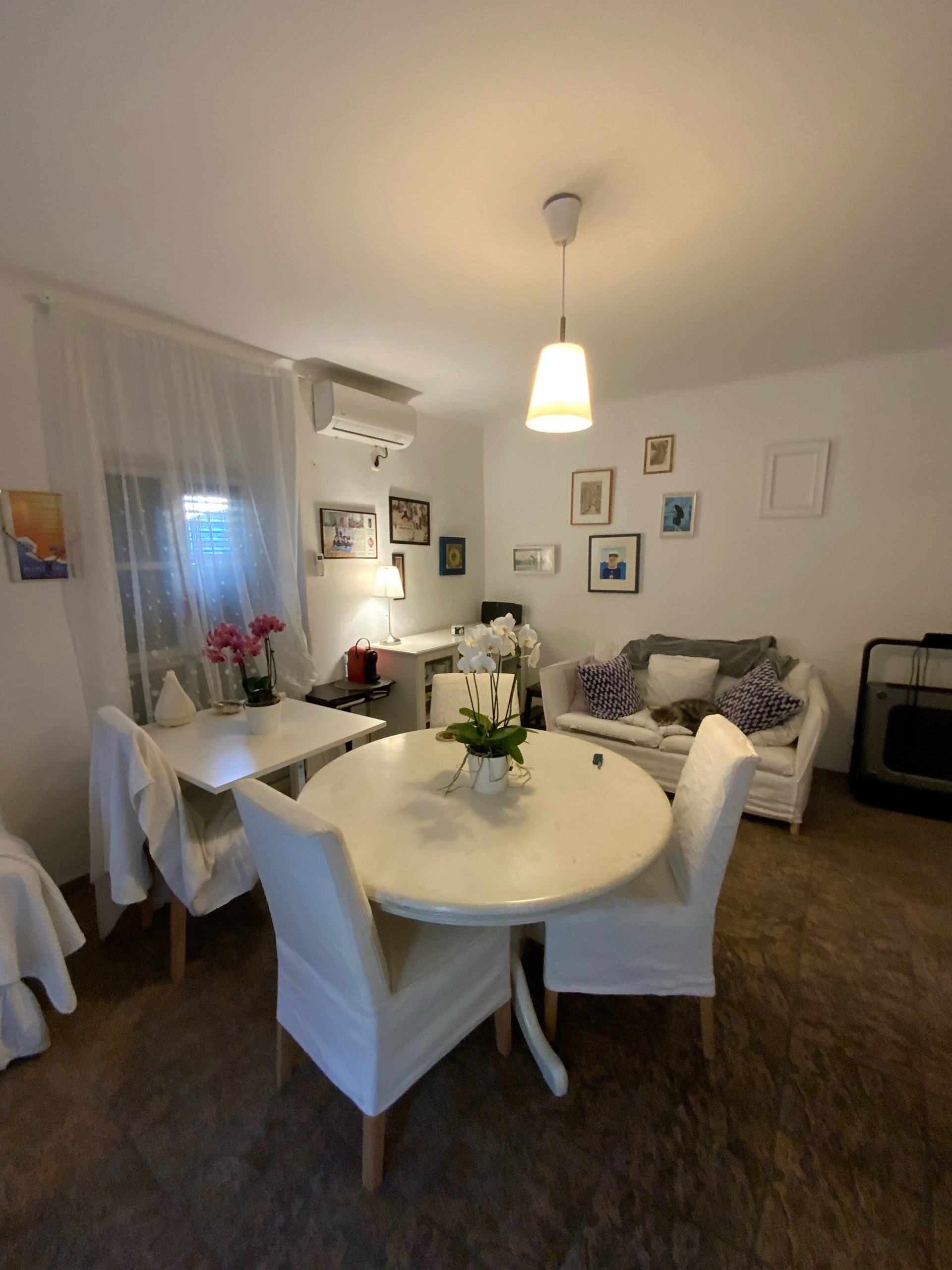 Living room with dining table