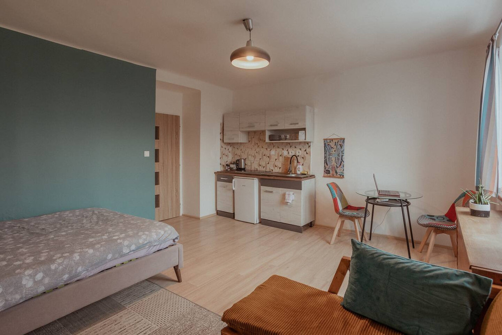Mid-century Modern studio for Worker / Couple