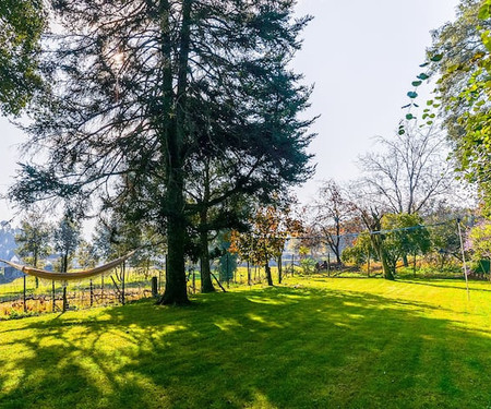 Country House surrounded by nature