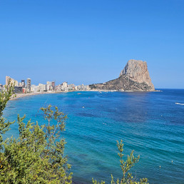 Landlords profile photo