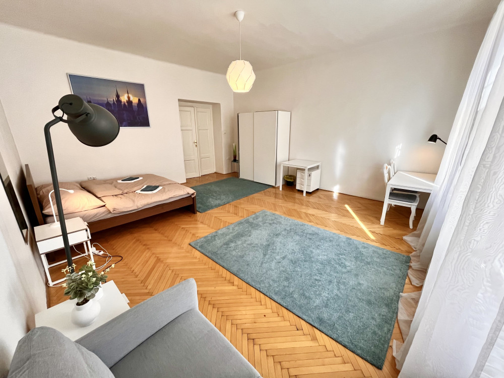 Central Gem: Bright & Spacious 116m2 Private Flat preview