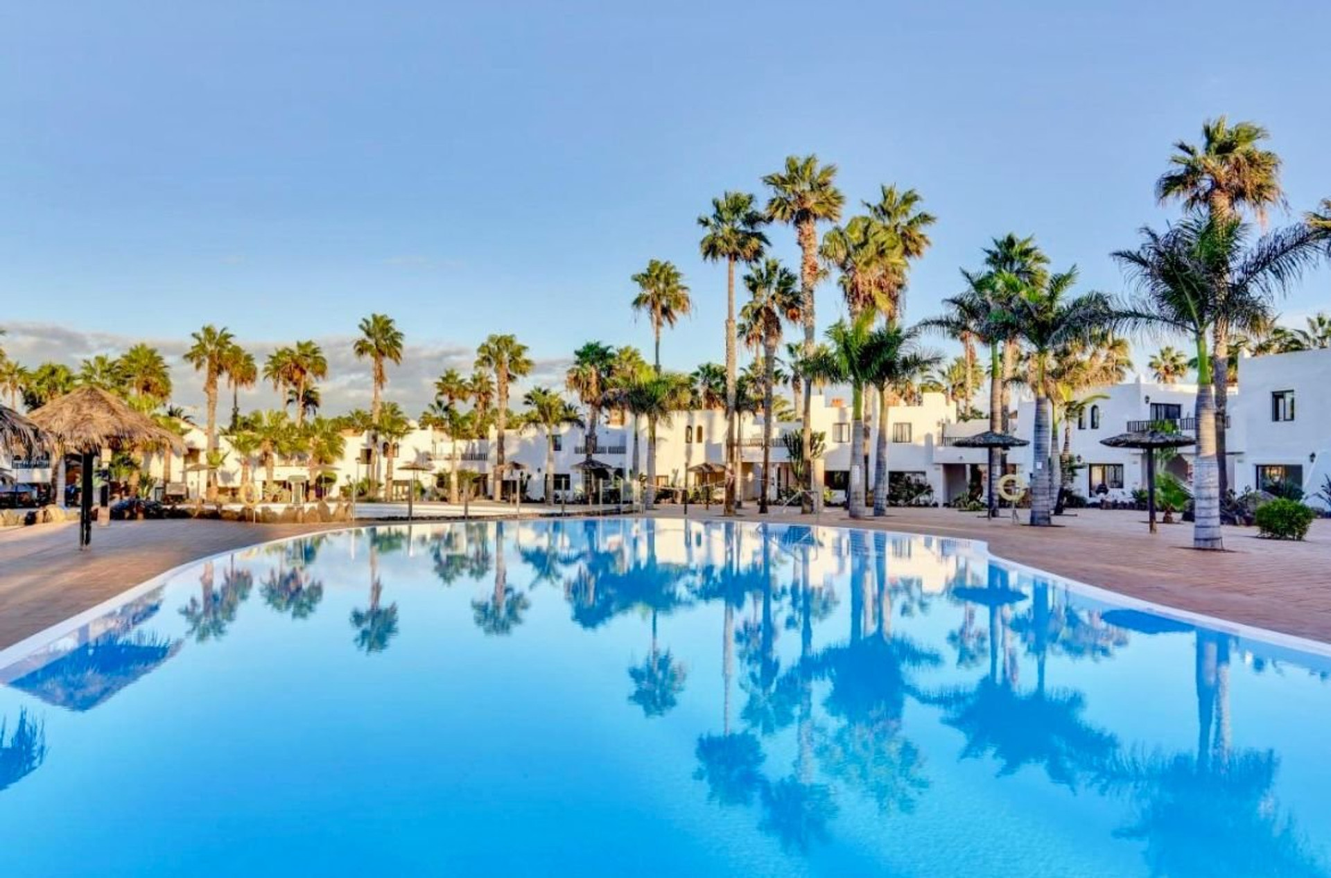 Palm-lined resort pool at sunset