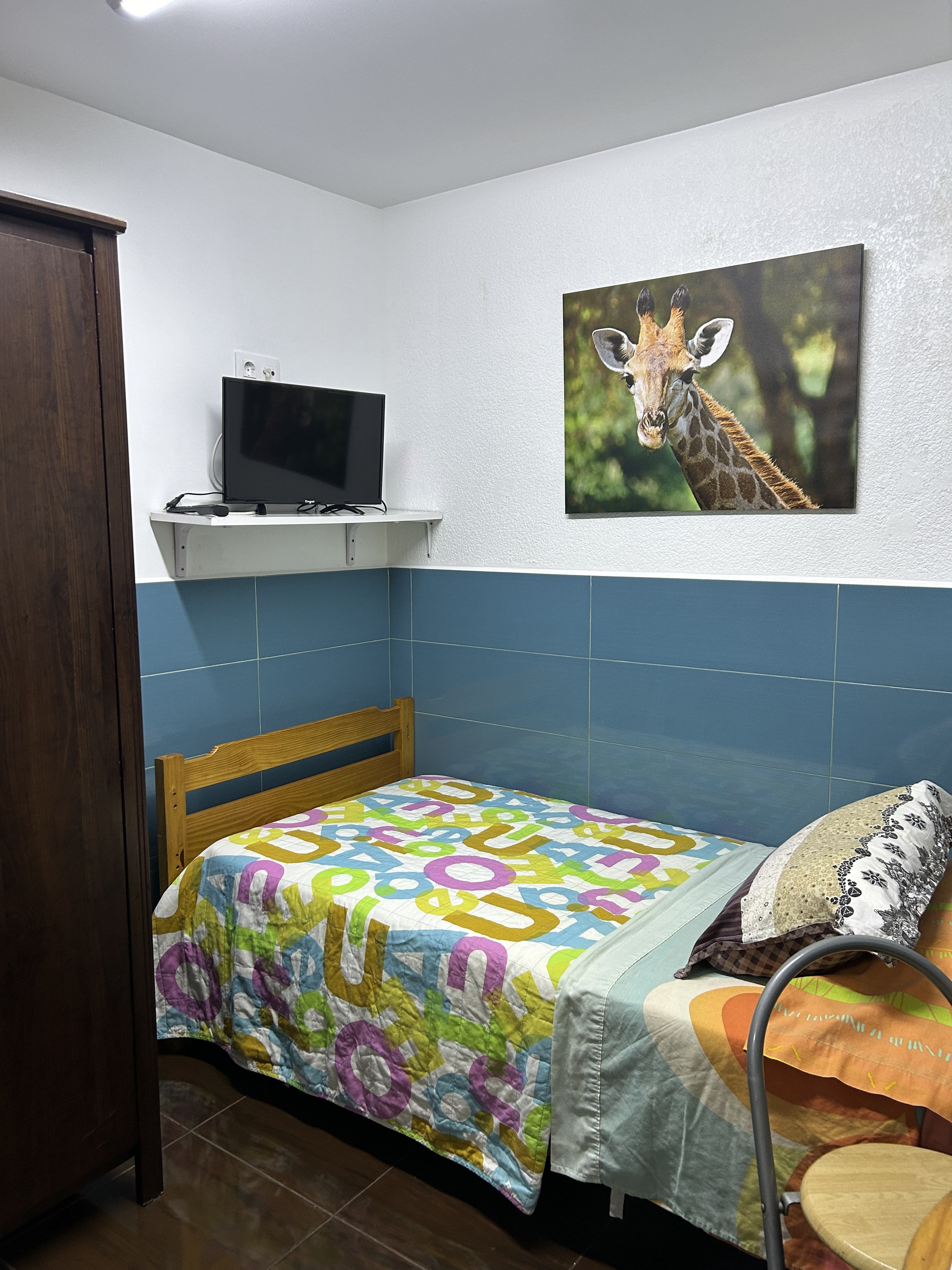 Single bedroom with TV and bed