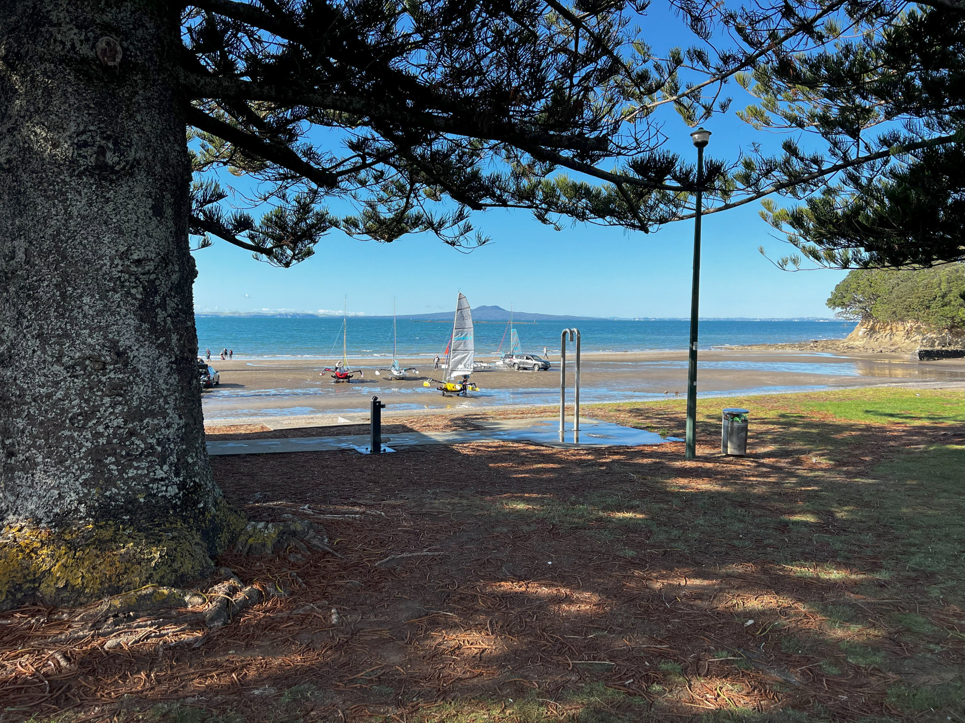 Waiake Beach