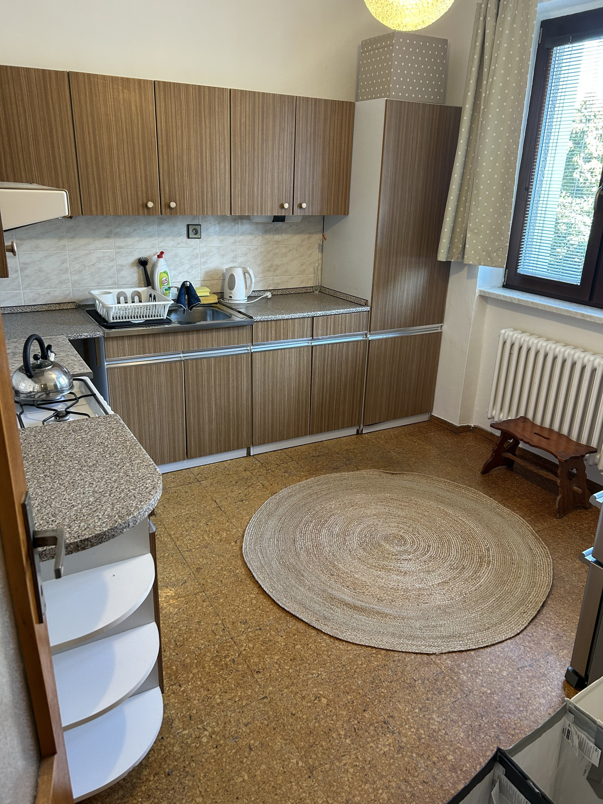 Kitchen and living area overview