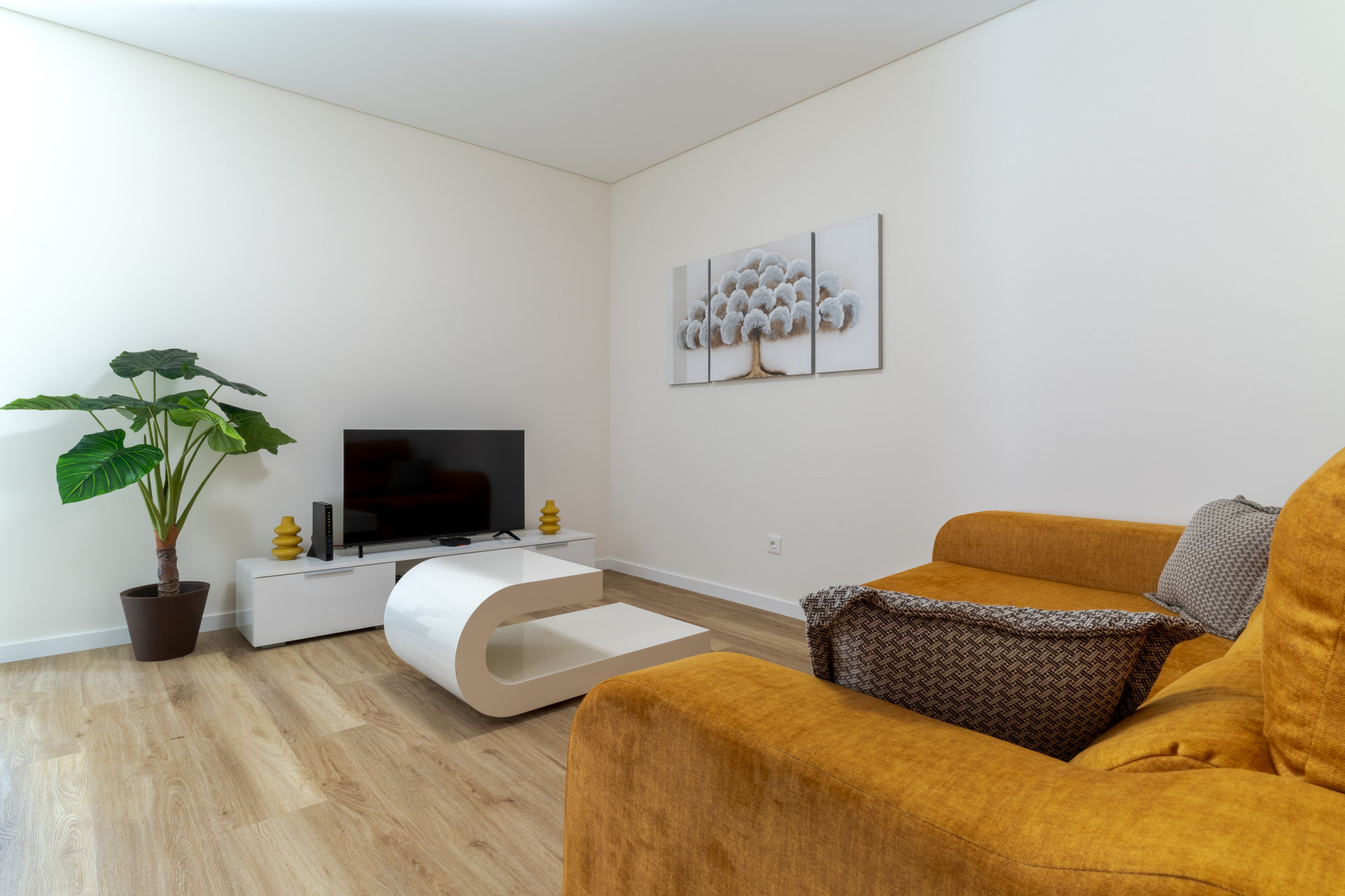 Living room equipped with comfortable sofa bed