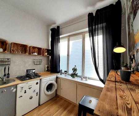 Cozy apartment near the city center