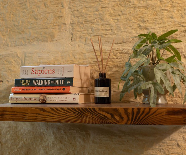 Shelf with books and plant