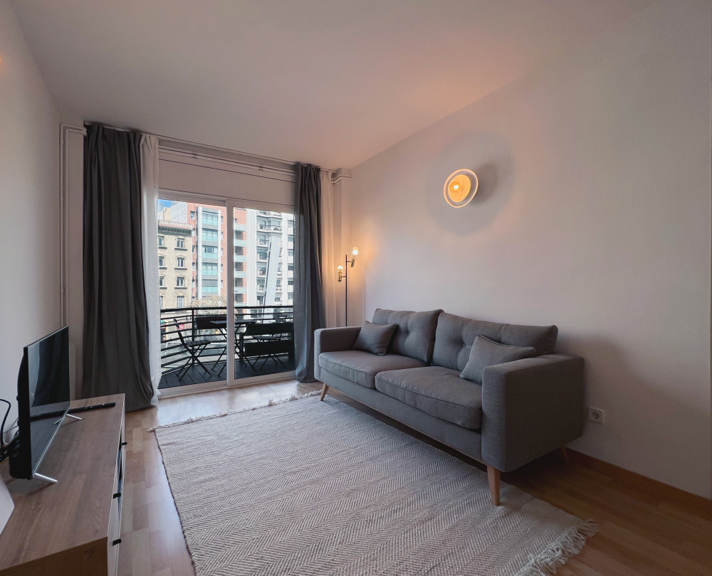 Luminous apartment in General Mitre