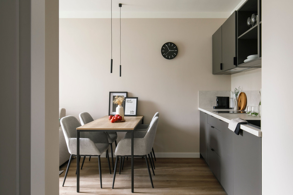 NEW COZY APARTMENT IN GREEN QUIET AREA RACŁAWICKA preview