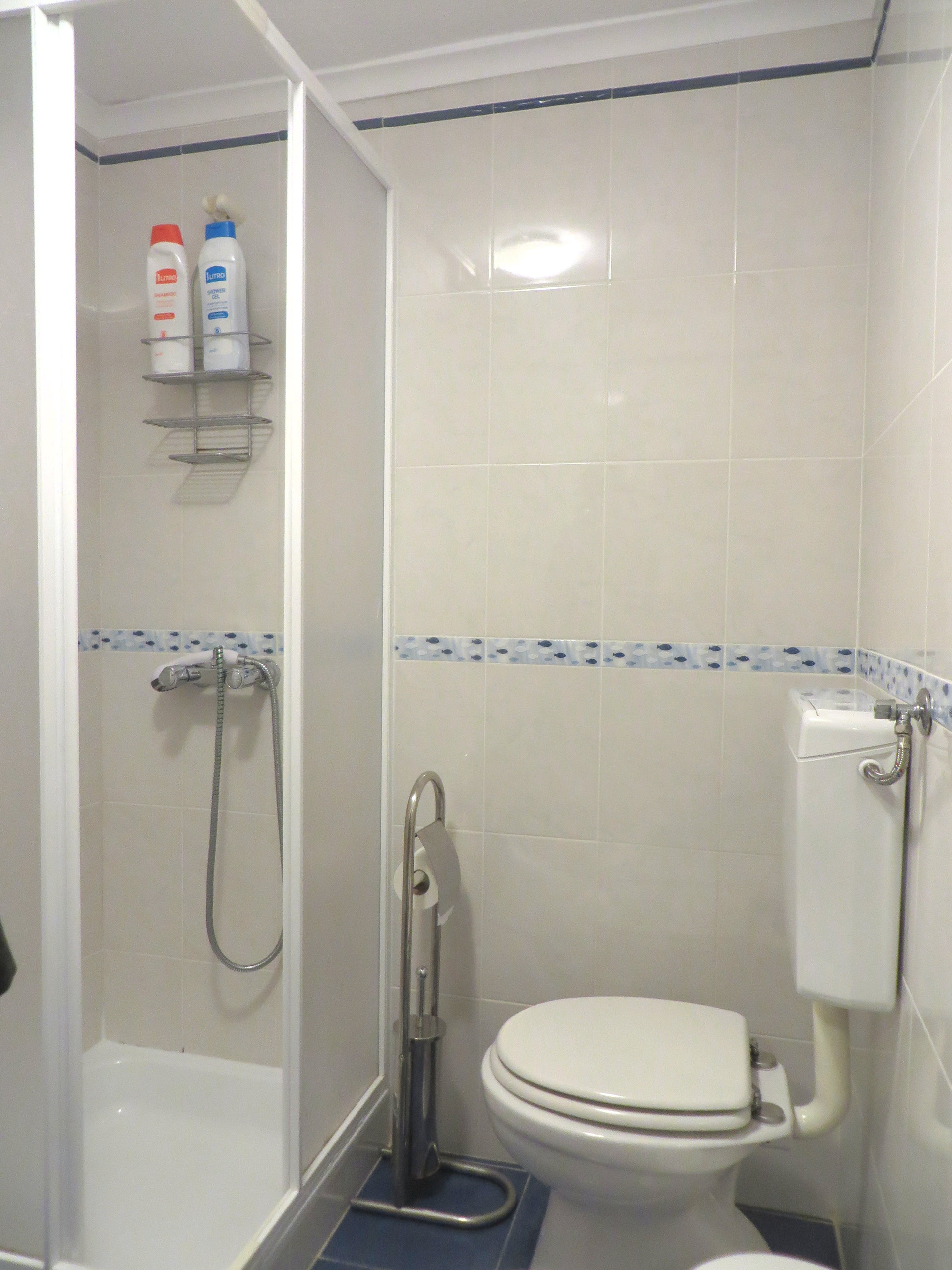Bathroom with shower and toilet