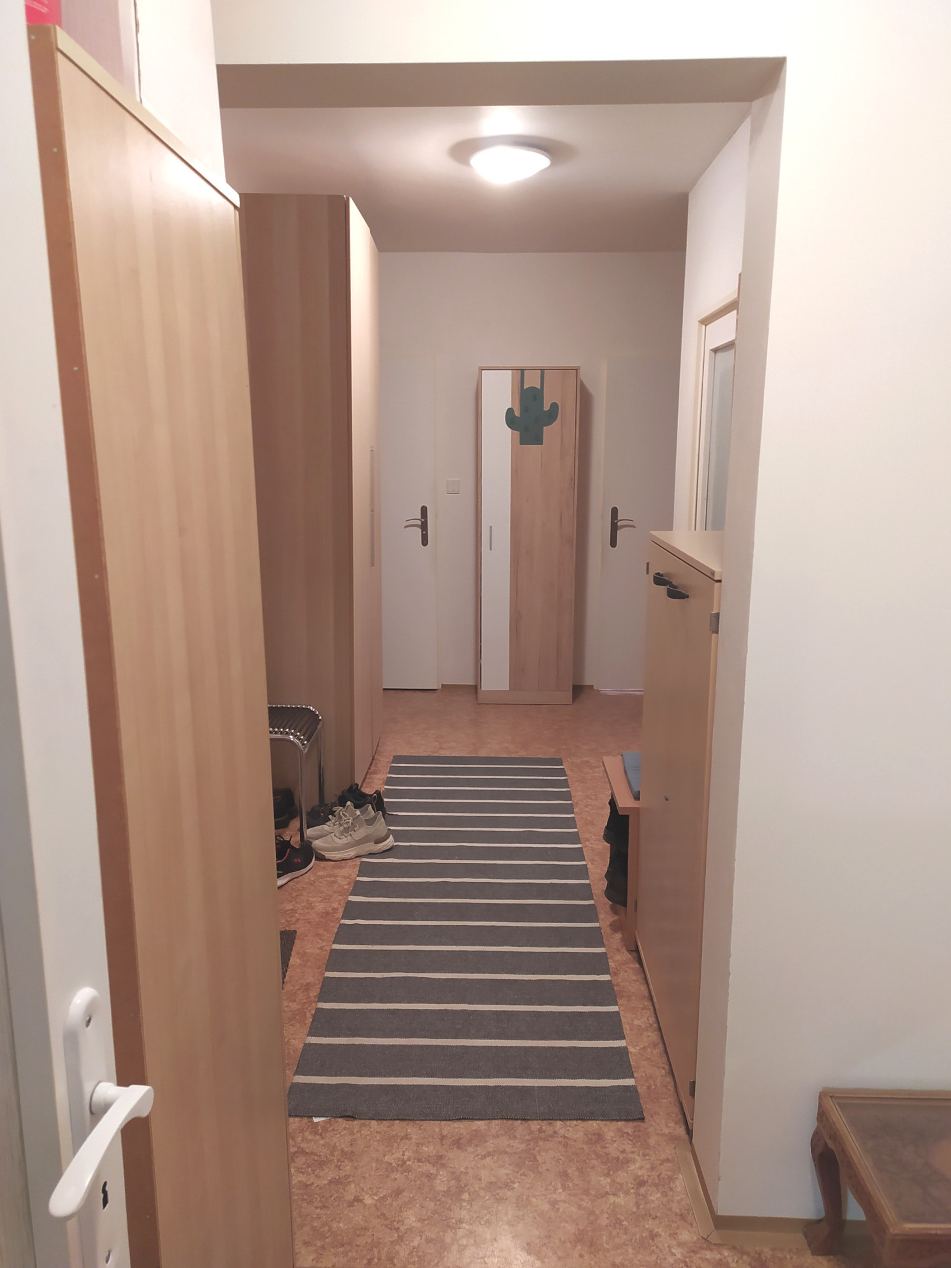 Hallway with wardrobe and striped rug