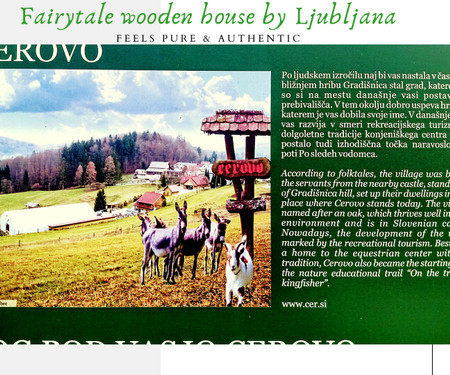 Healthy heart of Slovenia