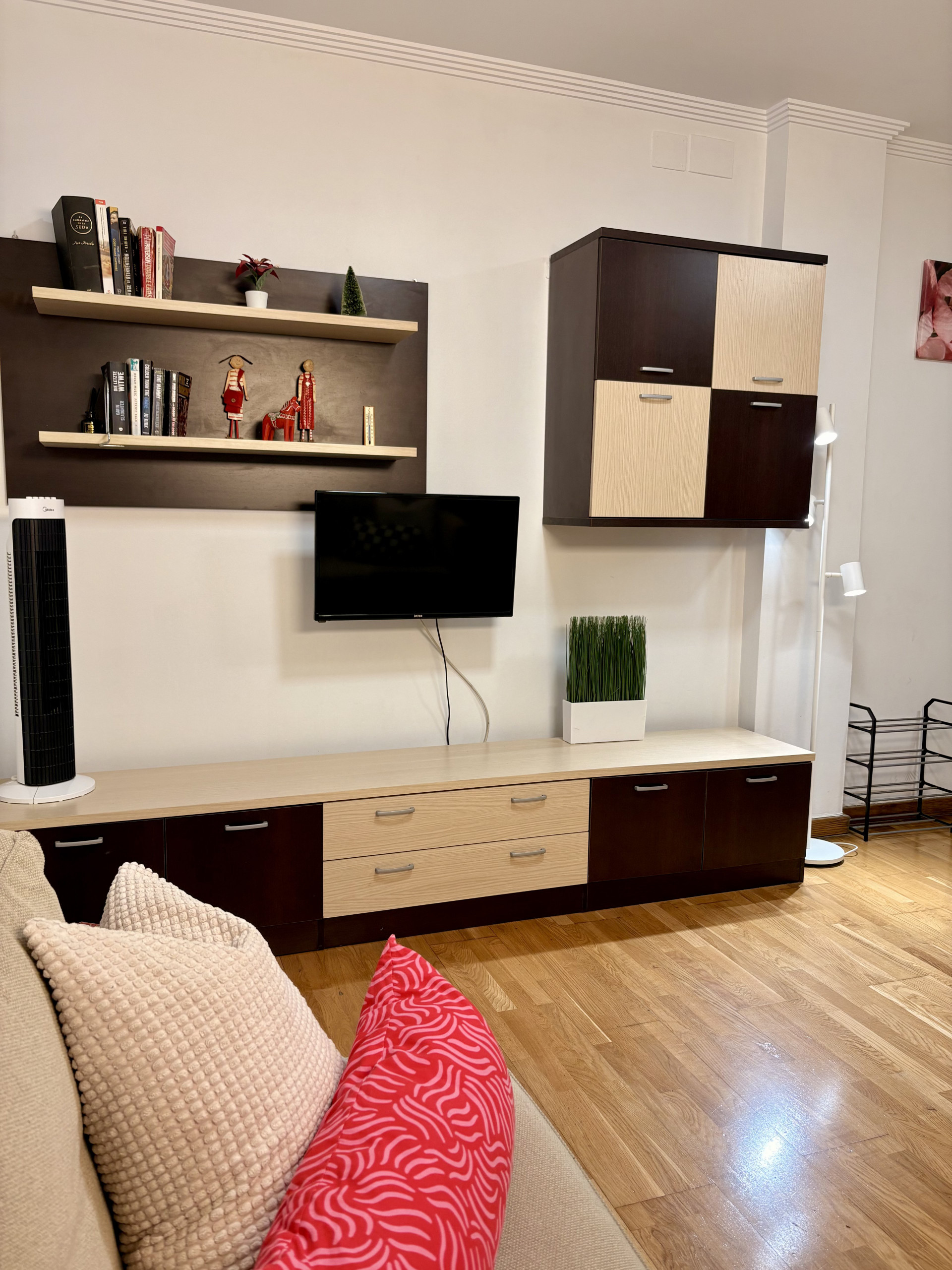 Living room TV and storage unit