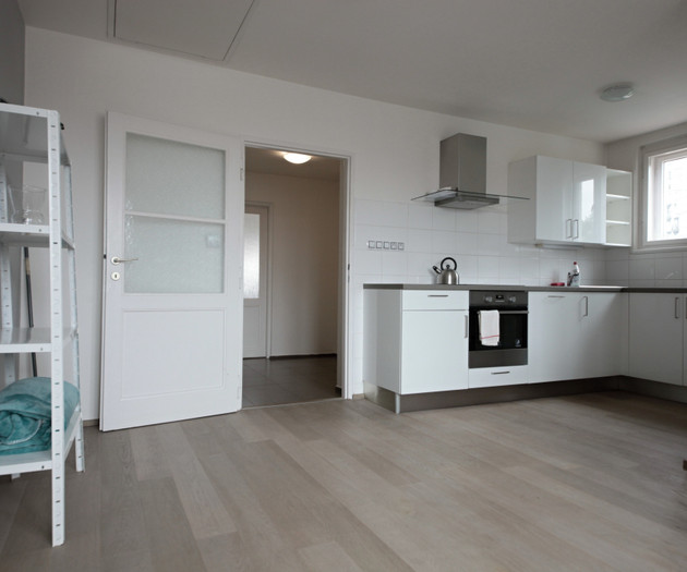 6 -Attic apartment in a villa w. garden, Vinohrady