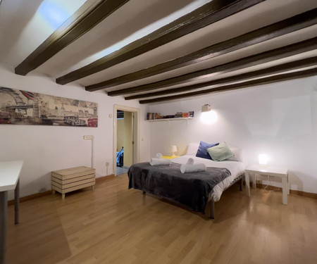 -1 bedroom apartment Barcelona Sant Antoni