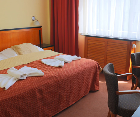 Rooms for rent  - Poděbrady