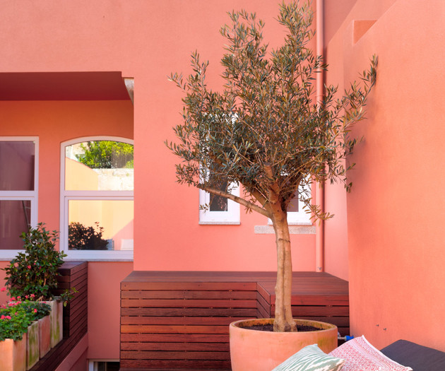 VIVA Casa da Praça with Pool and Terrace