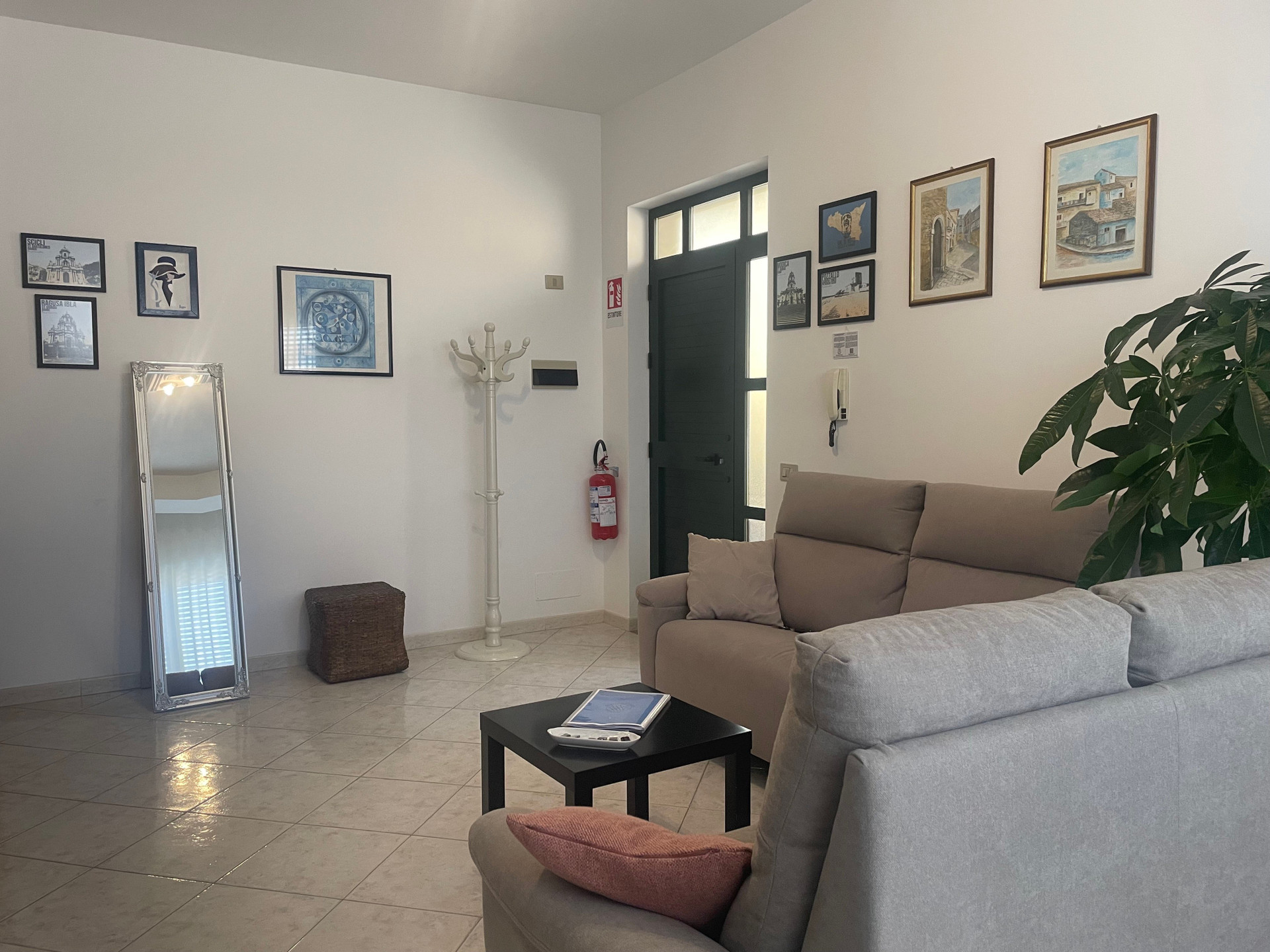 Living room entrance with mirror