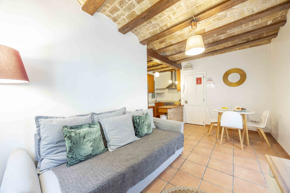 One-Bedroom Apartment in the Historic Center preview