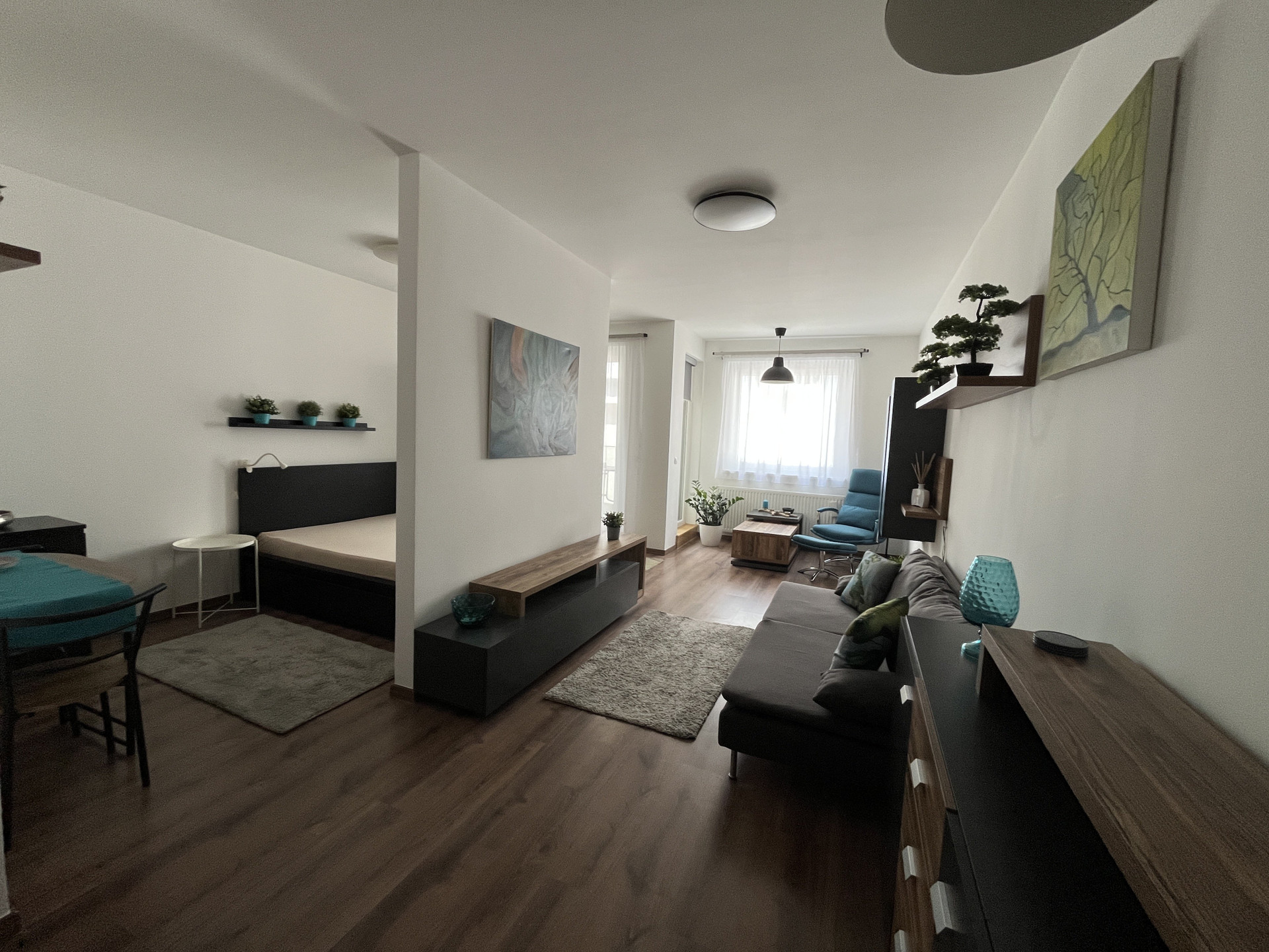 Open living room and bedroom layout