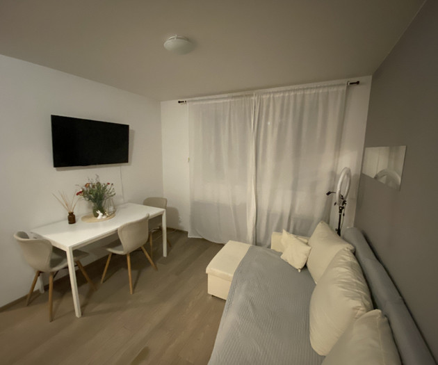 6 -Attic apartment in a villa w. garden, Vinohrady