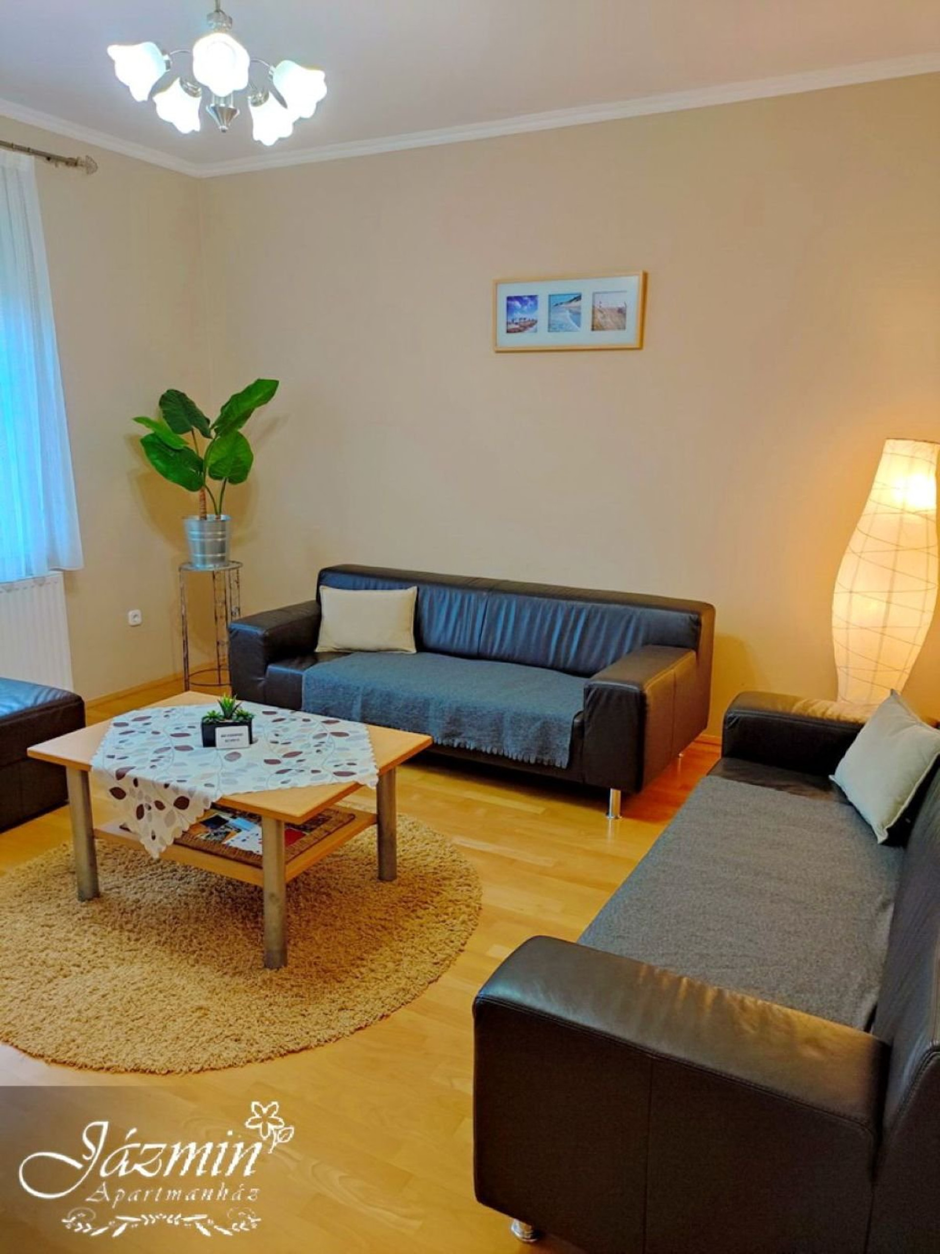 Living room with leather sofas