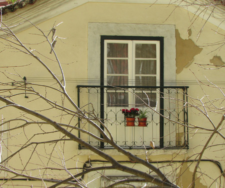 Alfama with garden view