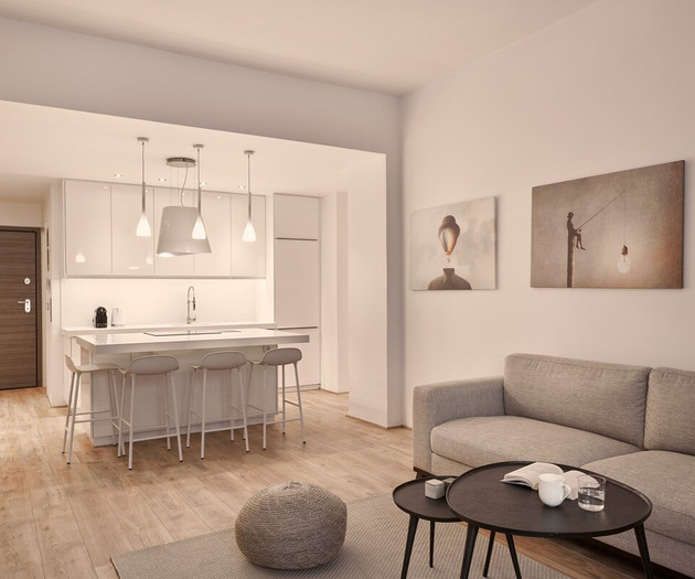 The full equipped kitchen and the living room at the same space