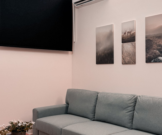 Luxury Furnished Apartment in Central Istanbul