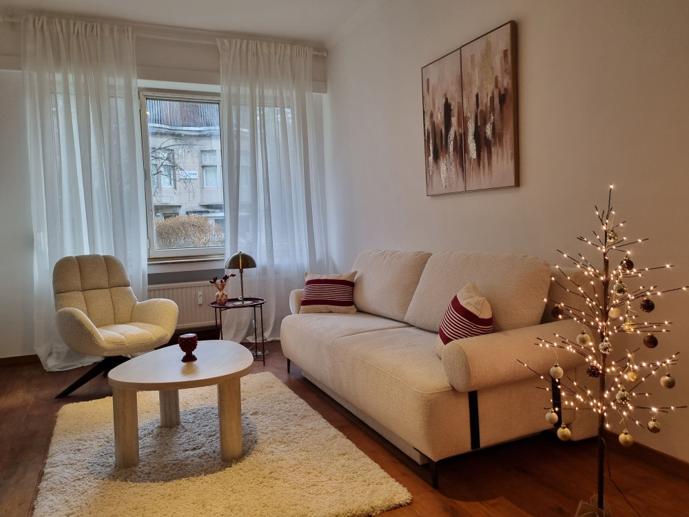 Cozy apartment in a prime Brussels location preview
